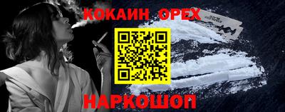 крисы Новозыбков