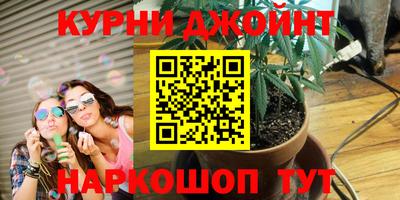 крисы Новозыбков