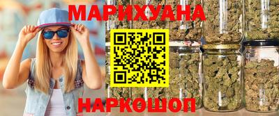 крисы Новозыбков