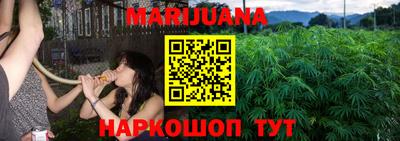 крисы Новозыбков