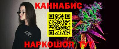крисы Новозыбков