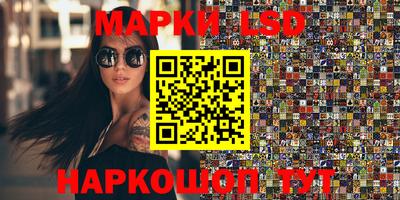 крисы Новозыбков