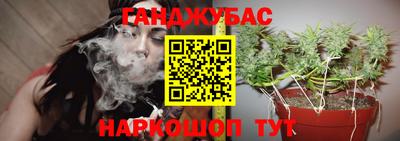 крисы Новозыбков