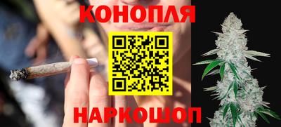 крисы Новозыбков