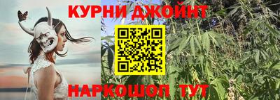 индика Новокубанск
