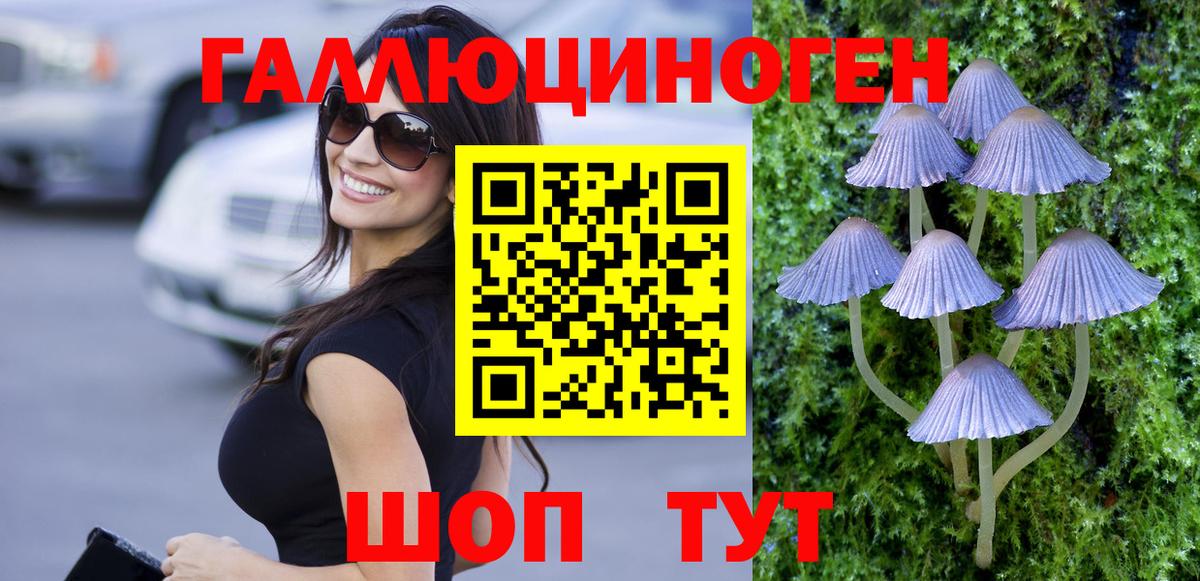 Урус-Мартан  Псилоцибиновые грибы Psilocybine cubensis  Вход с VPN 
